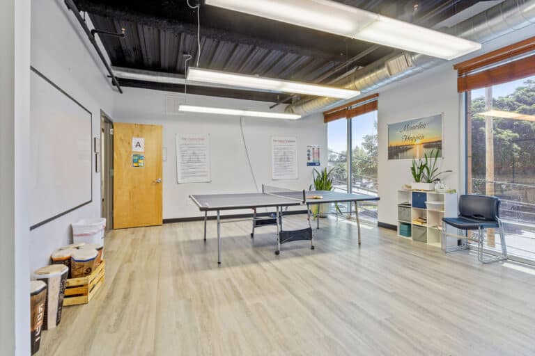 Indoor room with ping pong table, hardwood floor, large windows, plants, and seating area.