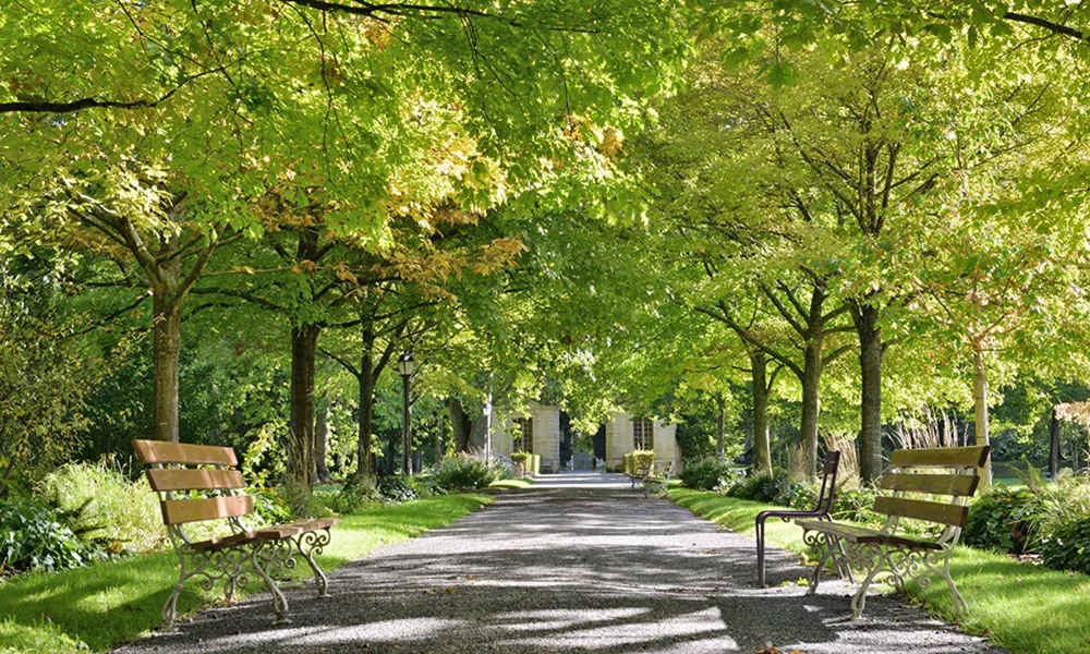 fun sober activities