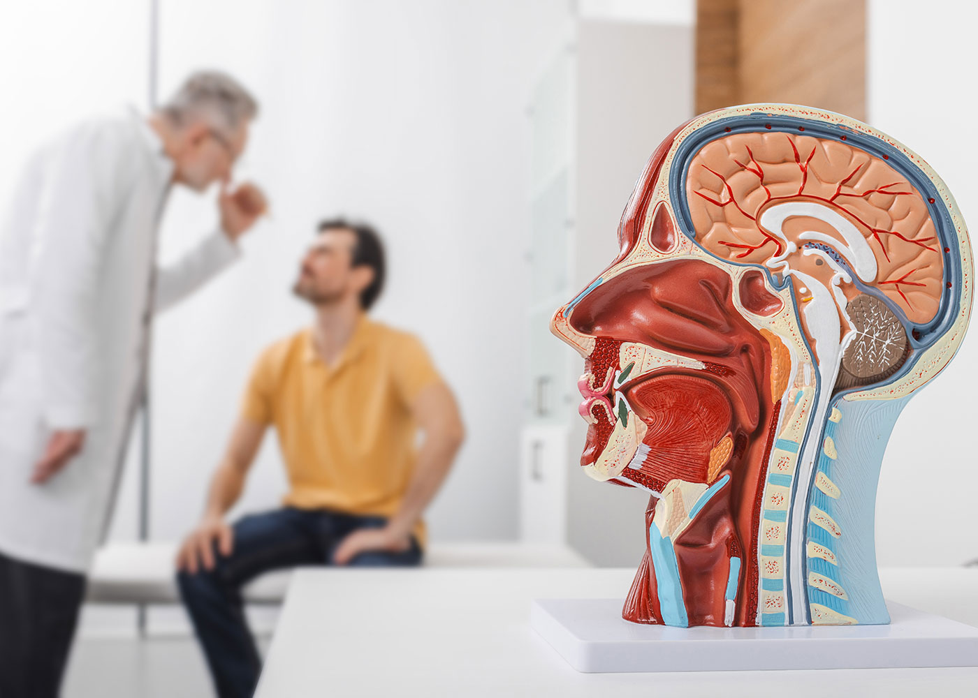Xanax enhances the action of GABA in the brain
